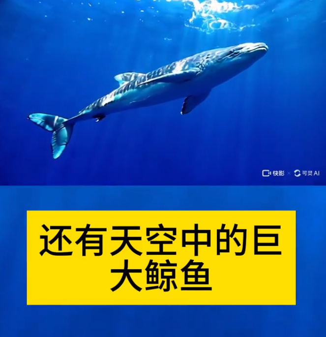 PG官方科技软件公司