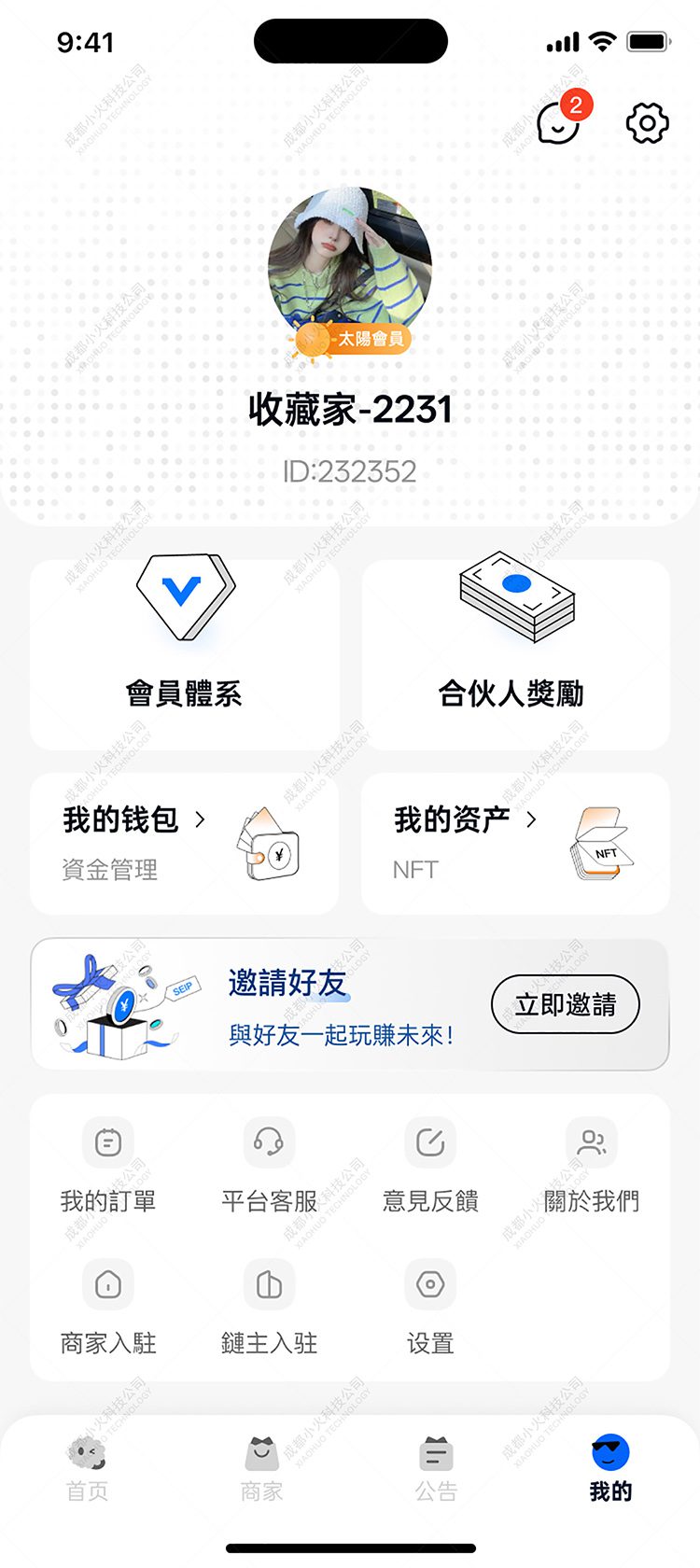 软件开发