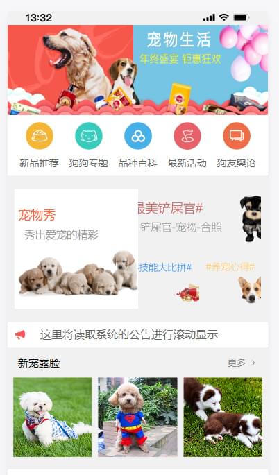 PG官方科技软件公司